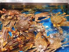 帝王蟹-盒马鲜生(189购物中心店)