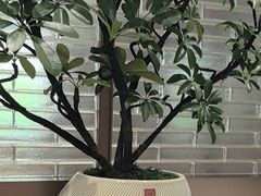 -海底捞火锅(高科广场店)