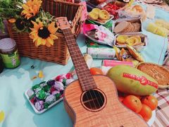 -天津武清北运河郊野公园房车露营地