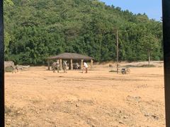 -杭州野生动物世界