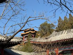 -宫事颐庭·老佛爷贵寿下午茶(颐和园店)