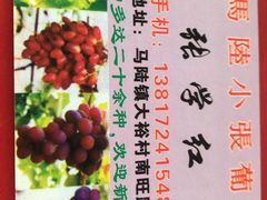 -马陆小张葡萄园农家乐