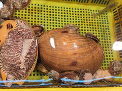 -谊荣海鲜大牌档(石湖店)