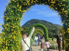 -广州市石门国家森林公园