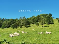 -关山草原