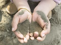 -杭州城北体育公园