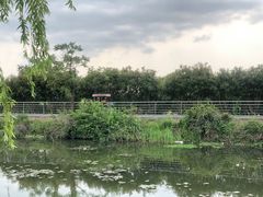 -东钱湖旅游度假区