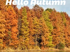 -上海海湾国家森林公园