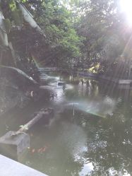 -莲生母婴月子中心(清水河公园店)