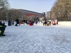 -沈阳奥体冰雪嘉年华