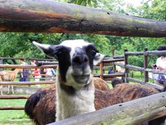 -西安秦岭野生动物园