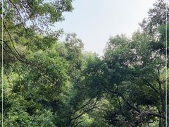 -桃花涧