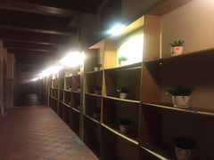 -中旅阿那亚九龙湖·公主酒店