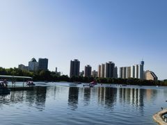 -莲花池公园