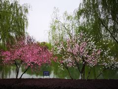 -滨湖塘西河公园