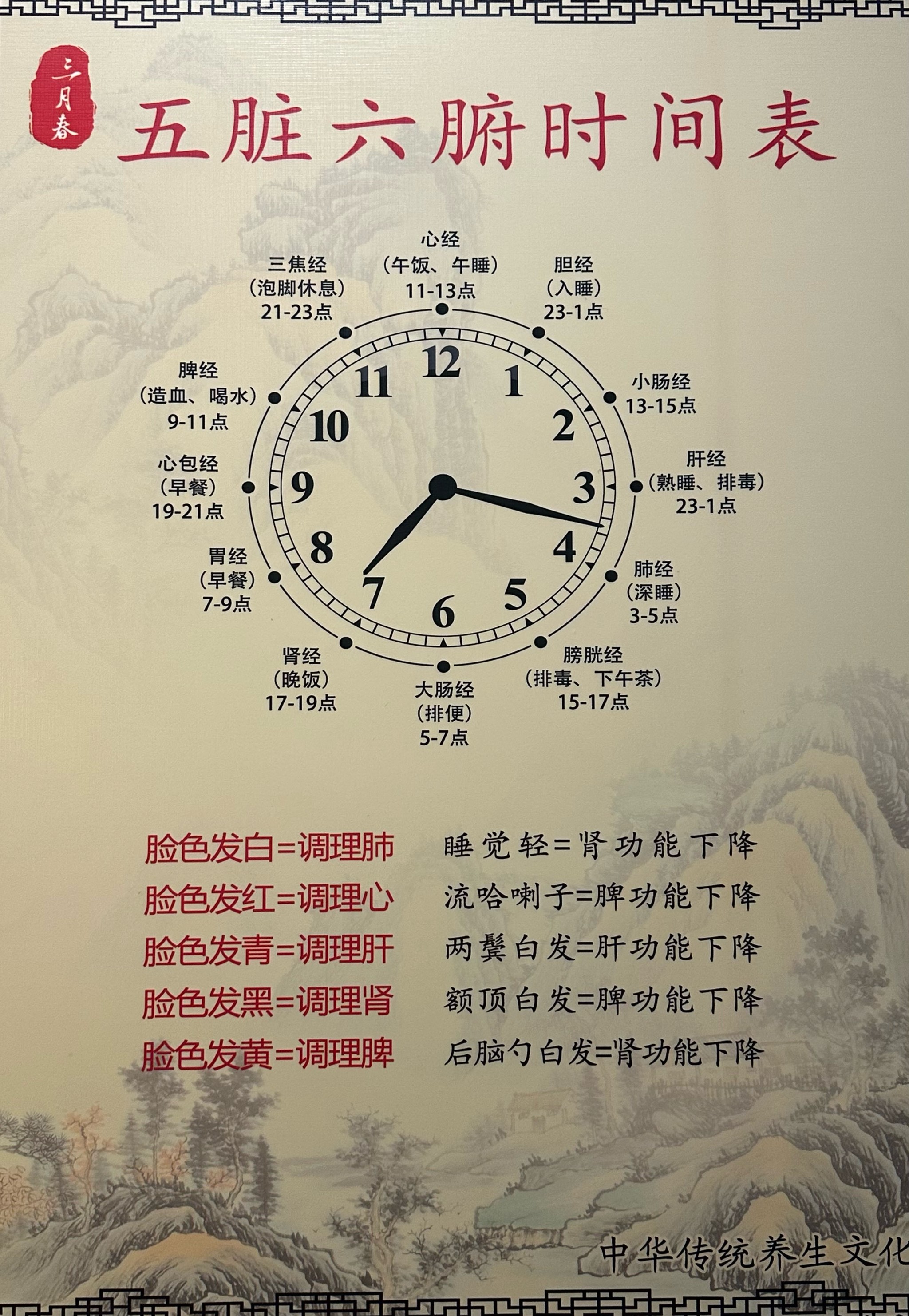 脏腑的排毒时间表
中医将一天的12个时辰,与人体12脏腑的气血运行及