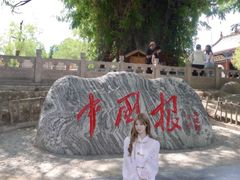 -大槐树寻根祭祖园