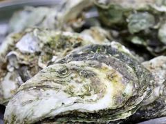 -大富蚝乌东哥饭店·石锅鱼杂·柠檬鸭(革新路店)