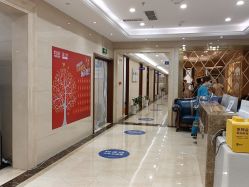 -碧莲盛·不剃发植发