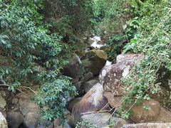 -海南霸王岭国家森林公园