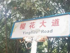 -武汉大学-樱园