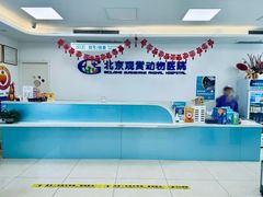 -北京观赏动物医院·24小时大型综合·猫专科·异宠专科