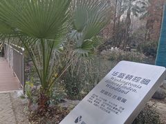 -苏州河梦清园环保主题公园
