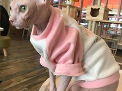 -喵匠猫主题咖啡(凯德和平广场店)
