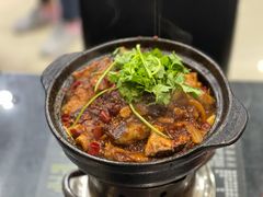 麻辣鲶鱼煲-川香煲(茅台路店)