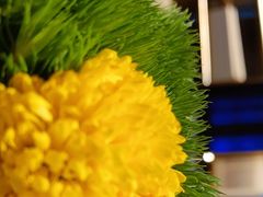 -红雀围·海鲜火锅(陆家嘴中心店)