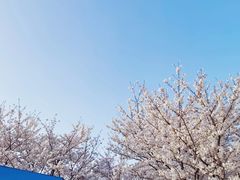 -龙美术馆(西岸馆)