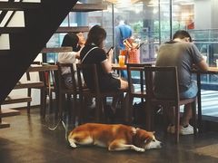 -去茶山(新光里店)
