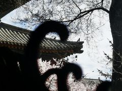 -五台山风景区
