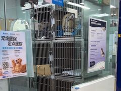 -芭比堂动物医院(广州爱宠下渡路分院)
