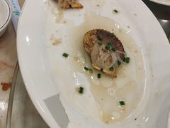 -新金盛·海鲜酒楼(盐田店)