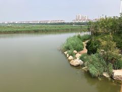 -大港湿地公园