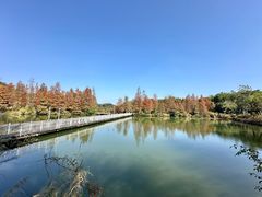-深圳东部华侨城茵特拉根酒店