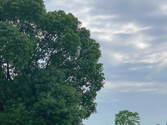 -良渚古城遗址公园