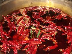 -小龙坎火锅(春熙太古里店)
