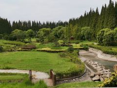 -金岛生态园烧烤露营地