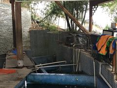 -鲤鱼塘农家山庄