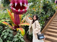 -沈阳植物园