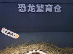 -恐龙探索乐园(磁器口店)