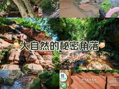 -赤水丹霞旅游区·佛光岩