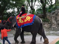 -深圳野生动物园