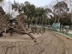-成都动物园