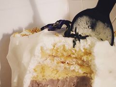 芋泥小方-双风车咖啡馆 Twin Windmills(六道口店)