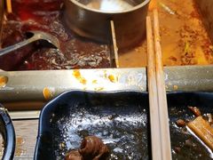 -九鼎轩脆毛肚火锅(徐州苏宁店)