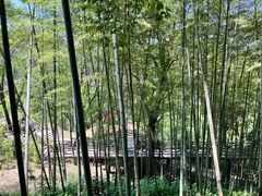 -方岩风景区