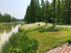 -黄海国家森林公园